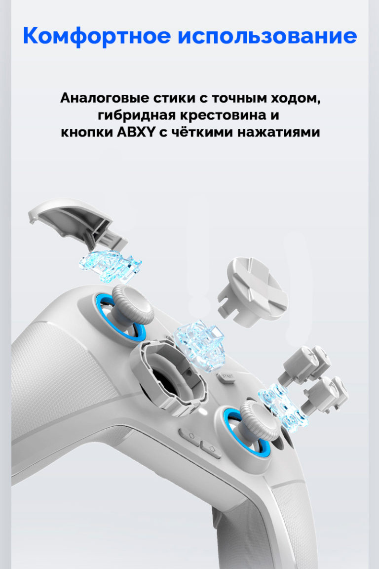 Flydigi Direwolf